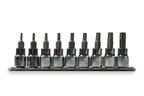 Signet 9 Piece Torx Socket Set 3/8" Driver T10-T50 on Rail